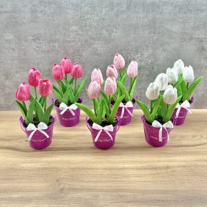Tulipánok bádog vödörben