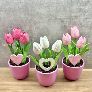 Tulipánok kerámia kaspóban