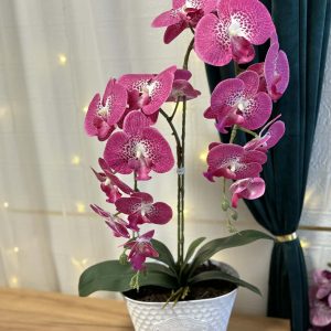 Ciklámen orchidea fém kaspóban