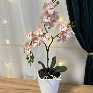 Barack színű orchidea - kerámia kaspóban