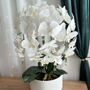 Óriás fehér orchidea - kerámia kaspóban