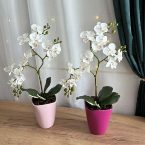 Fehér orchidea - kerámia kaspóban